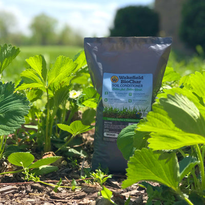 Wakefield 1 lb Biochar Organic Soil Conditioner and 1.5 lb Organic Compost - VMInnovations