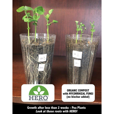 HC Companies Terrazzo 36 In Plant Saucer w/ Wakefield HERO Blend Garden Compost
