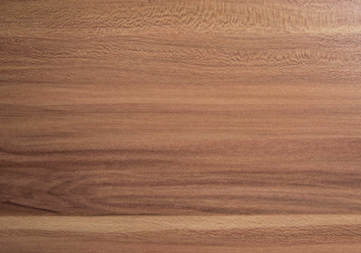 Monarch Specialties 60" Modern Home Computer Desk with Filing Drawer, Walnut