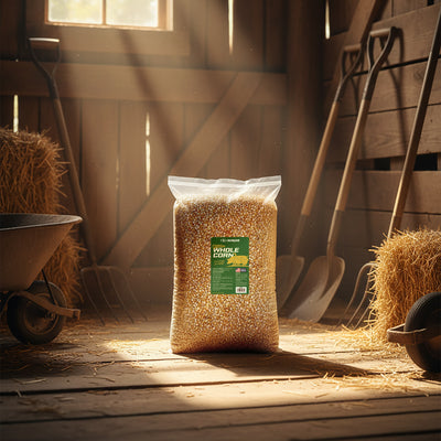 Sun Joe Whole Corn, All Season Feed for Wildlife and Outdoor Feeding, 50 lb Bag - VMInnovations