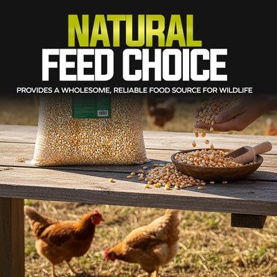 Sun Joe Whole Corn, All Season Feed for Wildlife and Outdoor Feeding, 50 lb Bag - VMInnovations