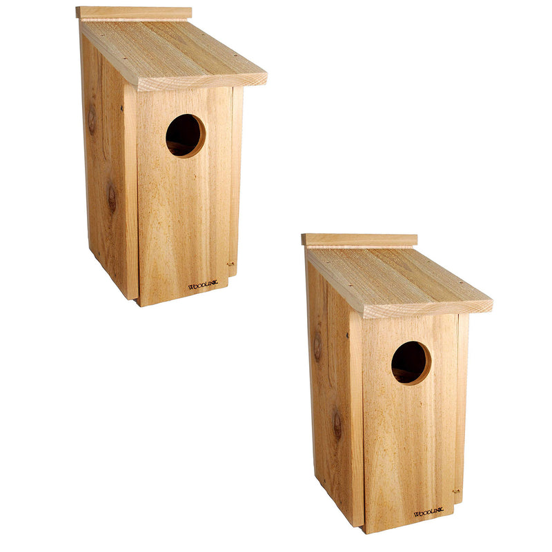 Woodlink Wooden Screech Kestrel Bird House Nesting Box w/Wood Shavings (2 Pack)