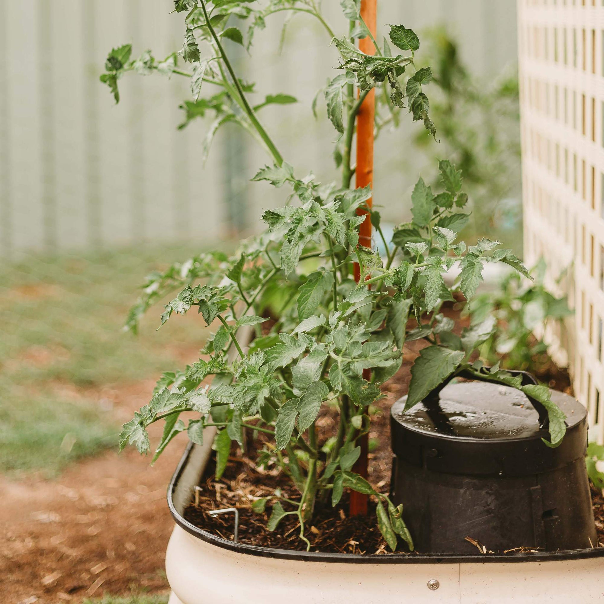 Tumbleweed Worm Feast Garden Farm Recycle Organic Waste Composter (For Parts)