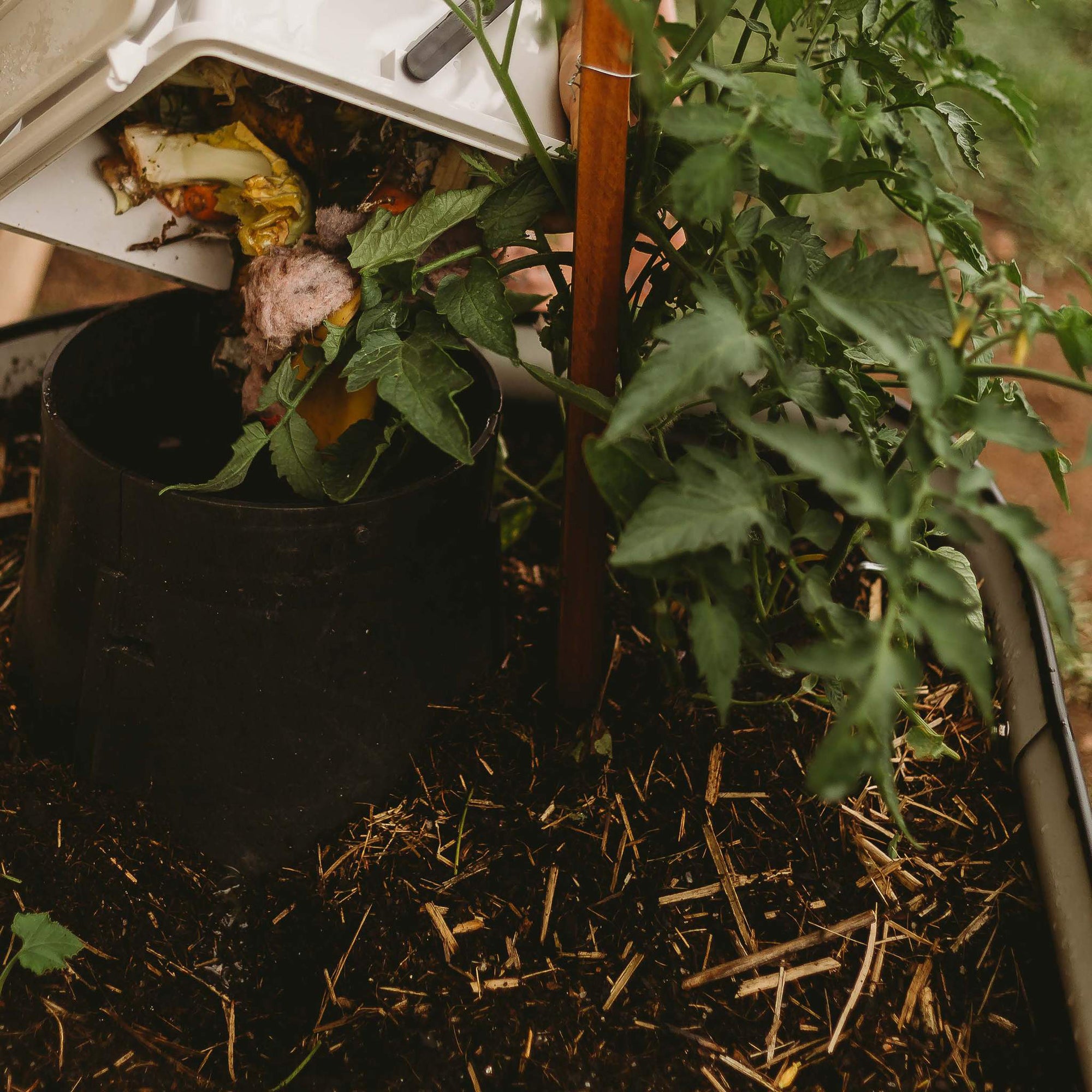 Tumbleweed Worm Feast Home Garden Farm Recycle Organic Waste Composter(Open Box)