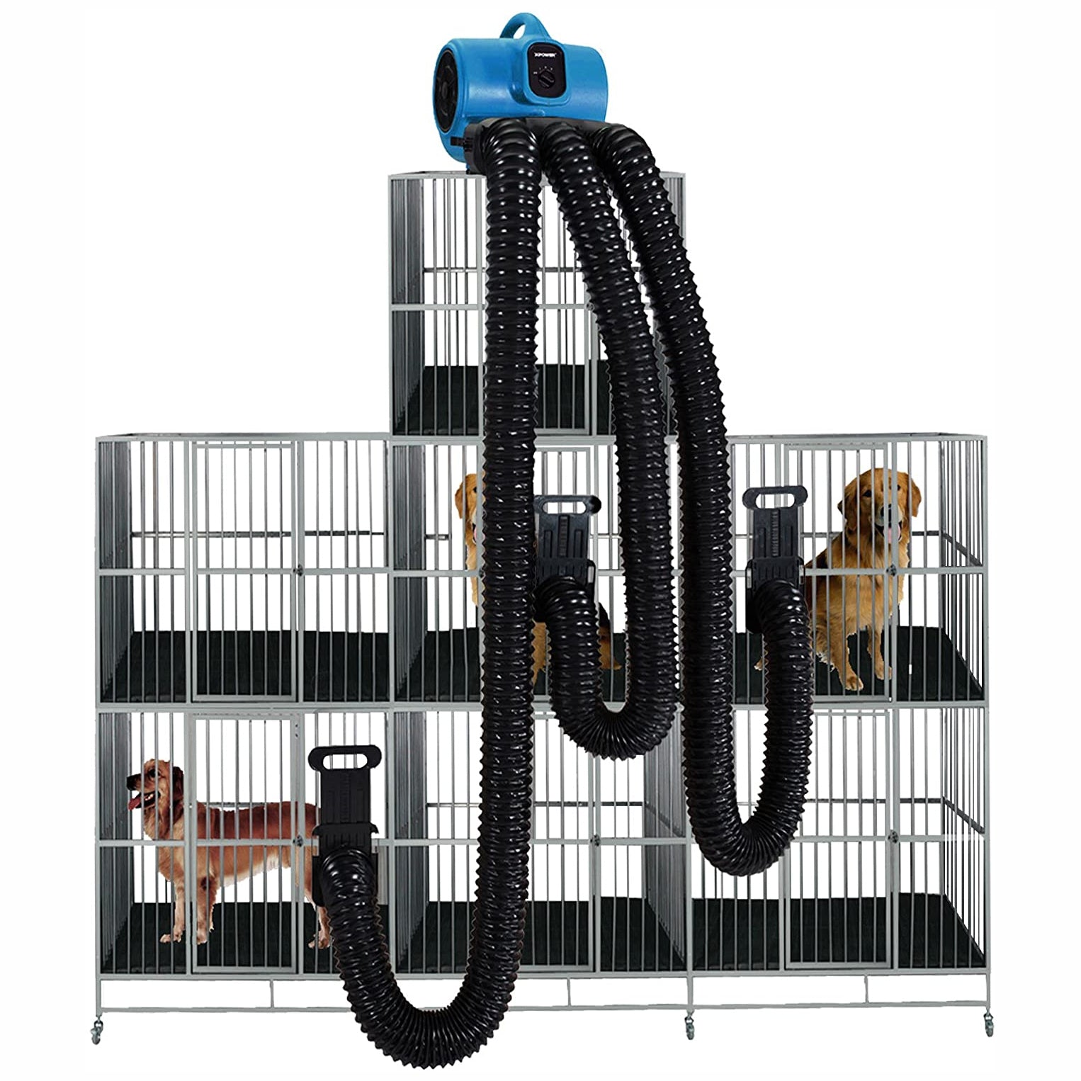 XPOWER Dog Grooming Cage Dryer with Multi Drying Hose Kit, Blue (Open Box)