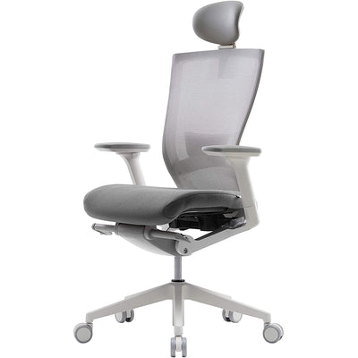 SIDIZ T50 Adjustable Ergonomic Office Desk Chair with Floor Carpet Mat, Gray