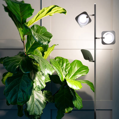 Brightech Tree LED Spotlight Super Bright 3 Light Standing Floor Lamp, Jet Black