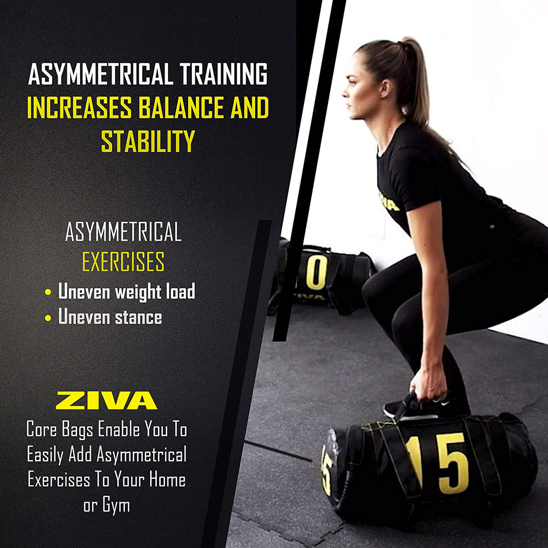 ZIVA 25 Pounds Commercial Grade Training Power Core Sandbag (Open Box)