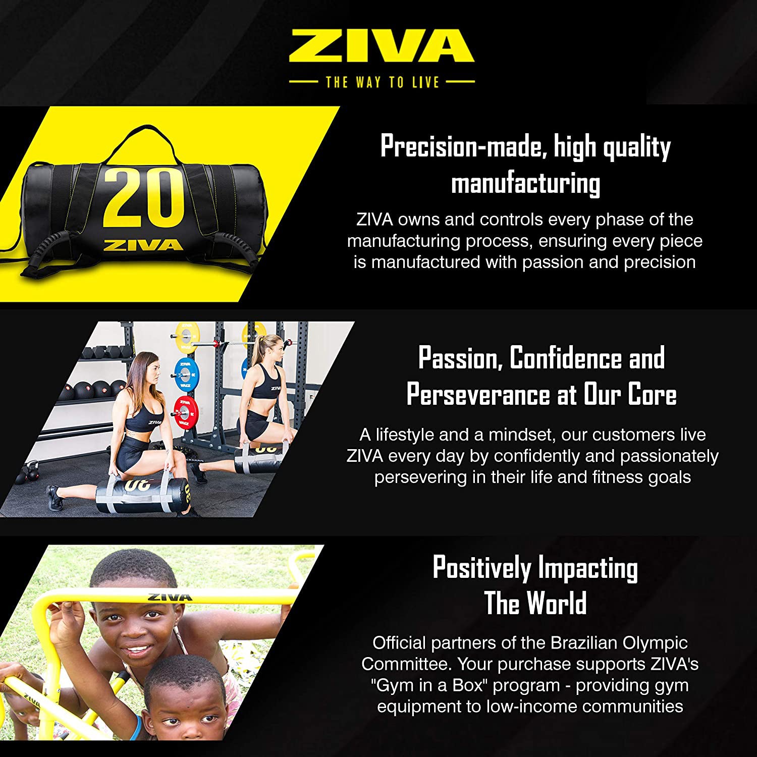 ZIVA 40 Pound Commercial Grade High Performance Training Power Core Sandbag - VMInnovations