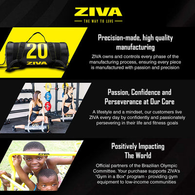 ZIVA 40 Pound Commercial Grade High Performance Training Power Core Sandbag