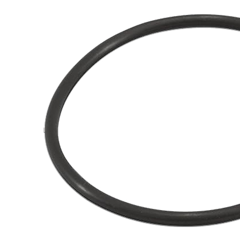 Zodiac Pool Replacement Part for Jandy Pro Series TruClear Chlorinator O Ring