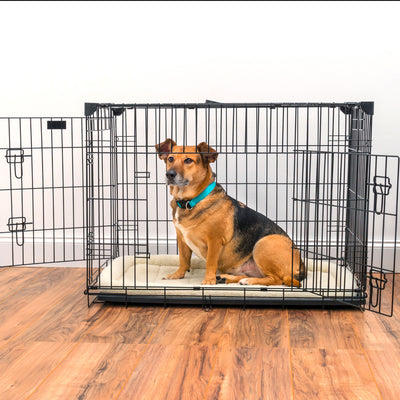Lucky Dog 2 Door Dog Training Kennel w/ Leak Proof Pan & Mat, Large (Used)