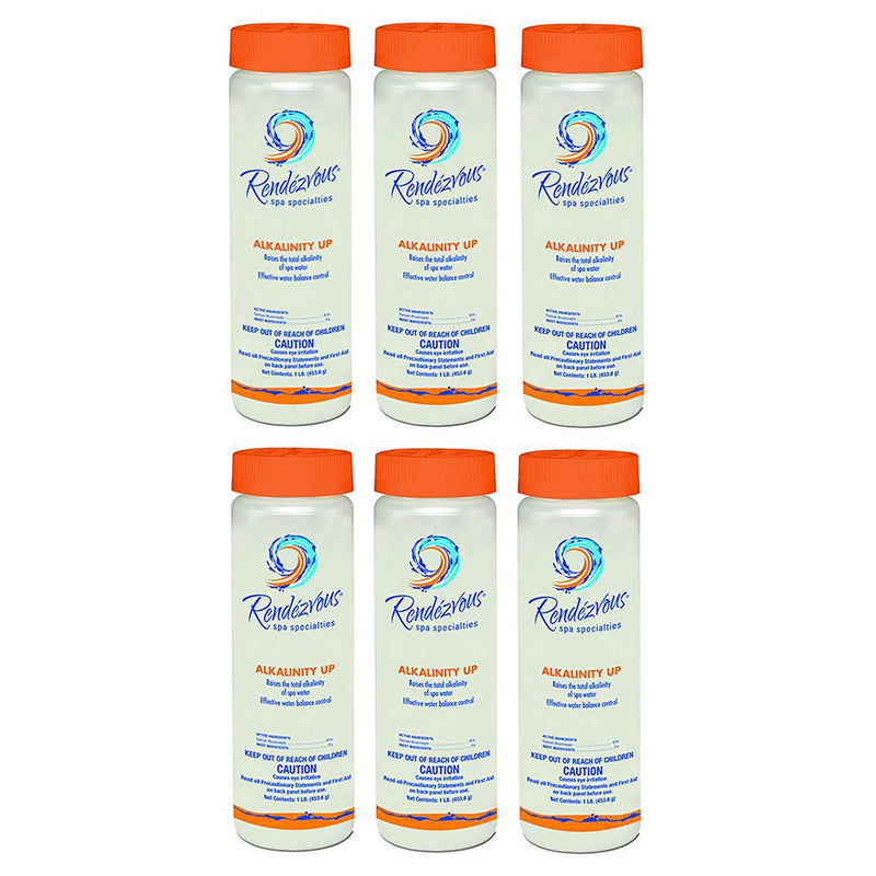 Rendezvous Spa Specialties Alkalinity Up Swimming Pool Testing Balancer (6 Pack)