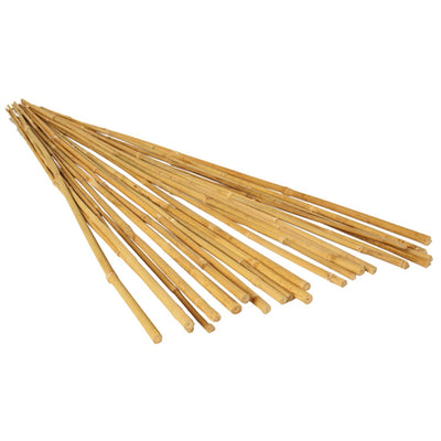 Hydrofarm 6 feet Natural Strong Bamboo Stakes Garden Accessories, Pack of 25