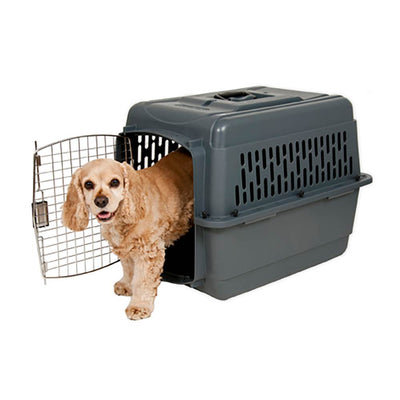 Aspen Pet Porter Plastic 28 Inch 25-30 Pound Pet Travel Carrier Kennel (3 Pack)