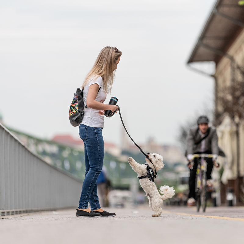 Julius-K9 IDC Powerharness Reflective Dog Walking Vest Harness, Mini-Mini Size