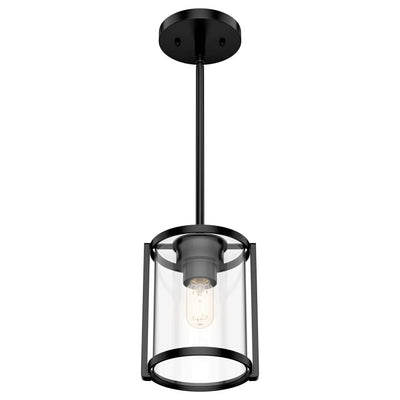 Hunter Fan Company Astwood 1 Bulb Mini Hanging Pendant Light Fixture, Black