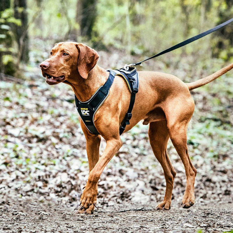 Julius-K9 IDC Longwalk Reflective Dog Walking Harness for Large Dogs, Size XL