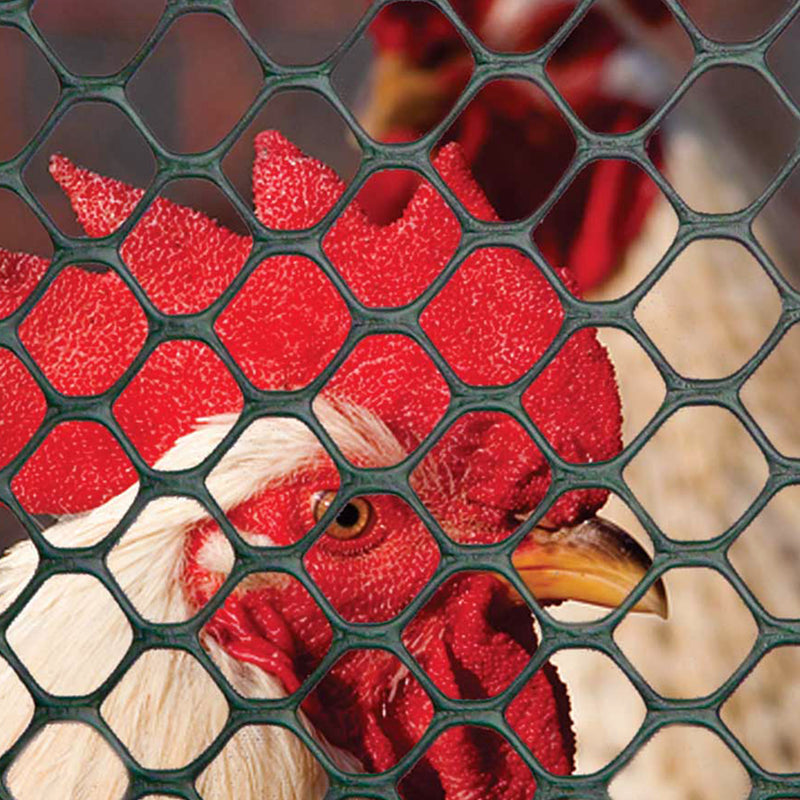 Tenax Plastic Poultry Fence Lightweight Garden Netting, 4&