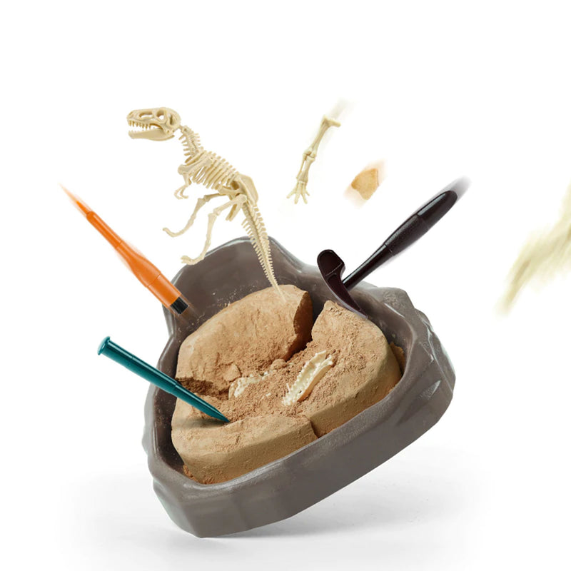 Science Can Cretaceous Deluxe Dinosaur Fossil Dig Kit for Children Ages 6 and Up