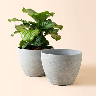 La Jolie Muse 11.3 Inch Tall Marbled Outdoor Planter, Gray, Set of 2 (Open Box)