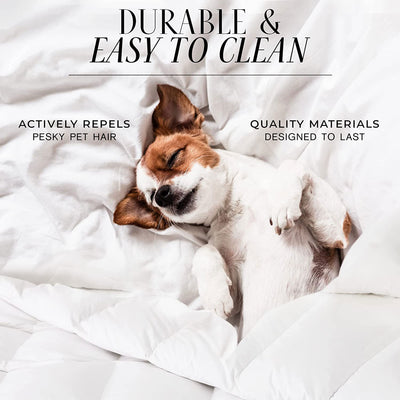 Italian Luxury 2100 Series Blanket Down Alternative Comforter, Full/Queen, Aqua