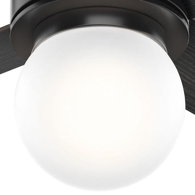 Hunter Fan Company Hepburn w/ LED Light 52-Inch Ceiling Fan, Matte Black Finish