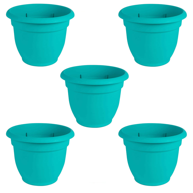 Bloem 6 Inch Ariana Self Watering Planter for Indoor & Outdoor, Calypso (5 Pack)
