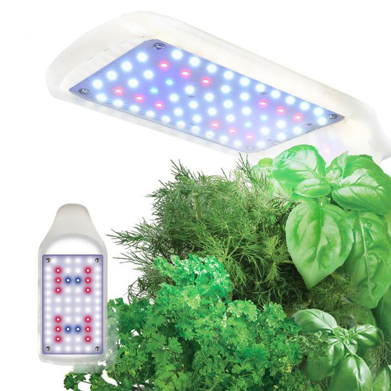 AeroGarden 900818-1299 Sprout LED Grow Light with Gourmet Seed Pot Kit, White