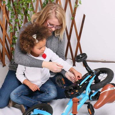 JOYSTAR Totem Series Premium Steel Body 18 Inch Kids Bike with Kickstand, Blue