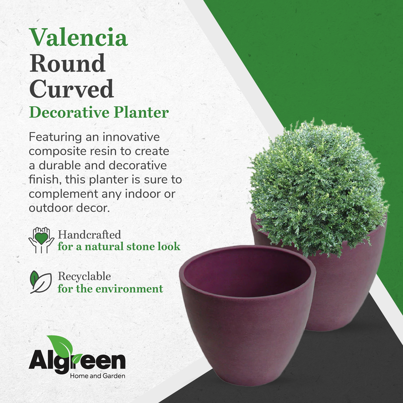 Algreen Round Curve Valencia Indoor and Outdoor Flower Pot Planter, Purple
