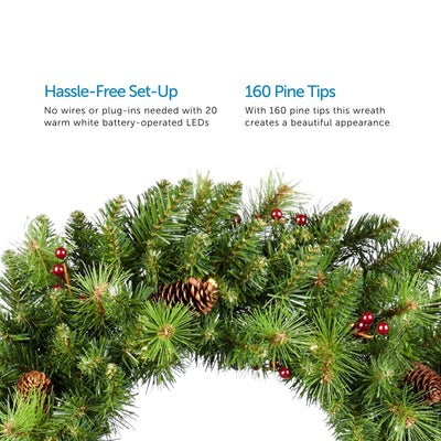 Noma Carolina 24 Inch Pre Lit LED Classic Pine Christmas Wreath (Open Box)