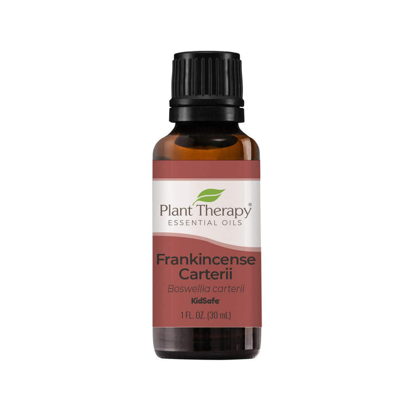 Plant Therapy Aromatherapy 30mL Essential Oil, 1 Ounce, Frankincense Carterii