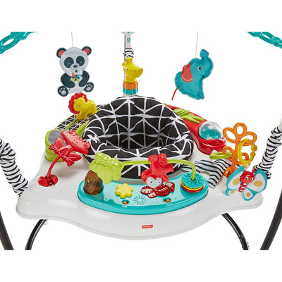 Fisher-Price FWY41 Animal Wonders Jumperoo with 360-Degree Spin Capacity, Teal