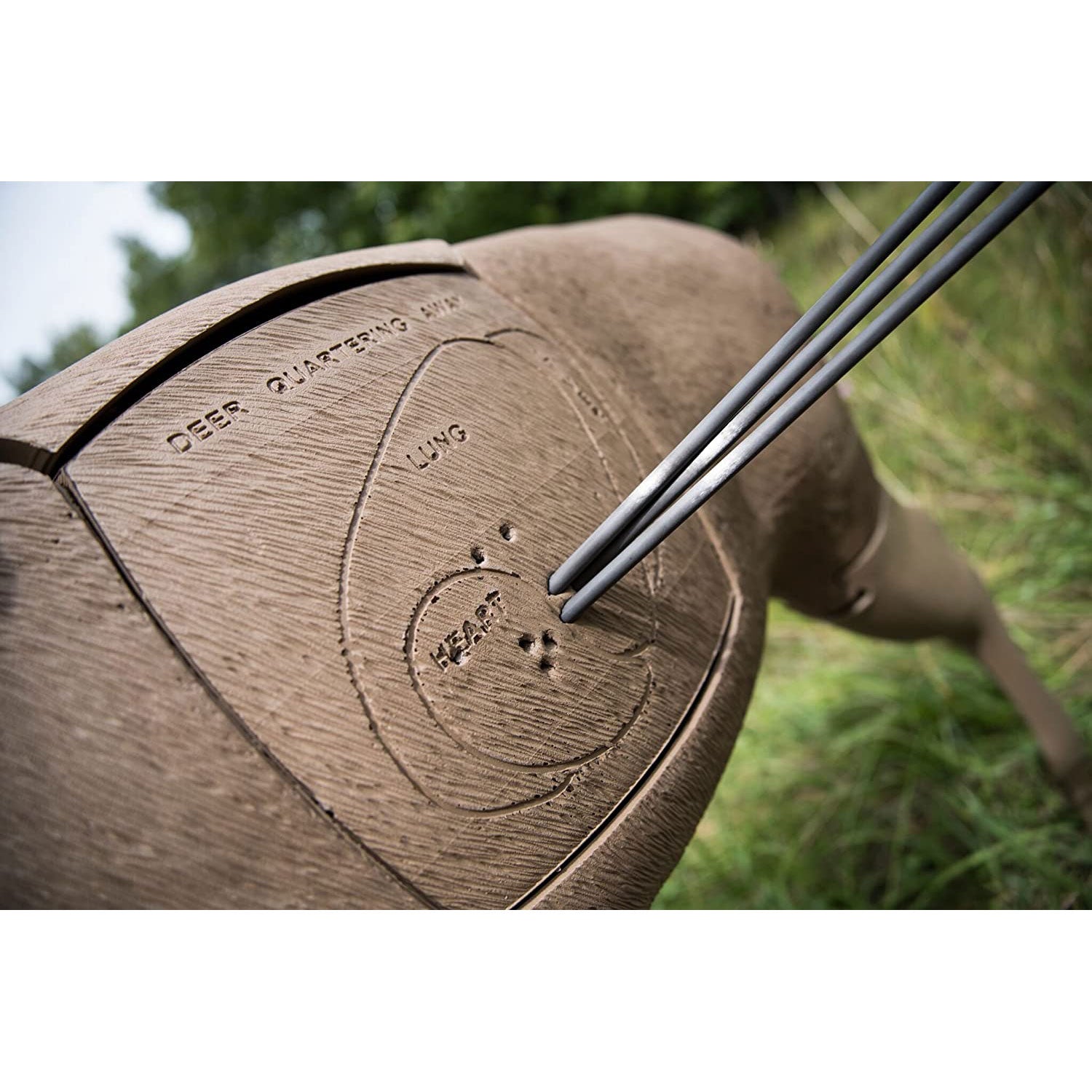 GlenDel 3D Archery Lifelike Pre Rut Buck Target with Replaceable Vitals Insert - VMInnovations