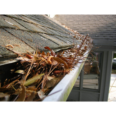GutterBrush 12 Foot Simple Roof Rain Leaf Gutter Guard Cover w/ Bristles, 2 Pack