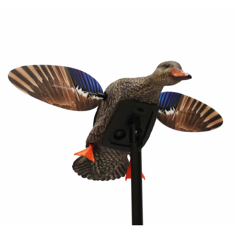 MOJO Outdoor Elite Series Mini Mallard Hen Duck Decoy w/ Spinning Wings (2 Pack)