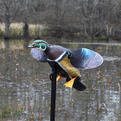 MOJO Outdoors Elite Series Woody Hunting Duck Decoy with Support Pole (6 Pack)