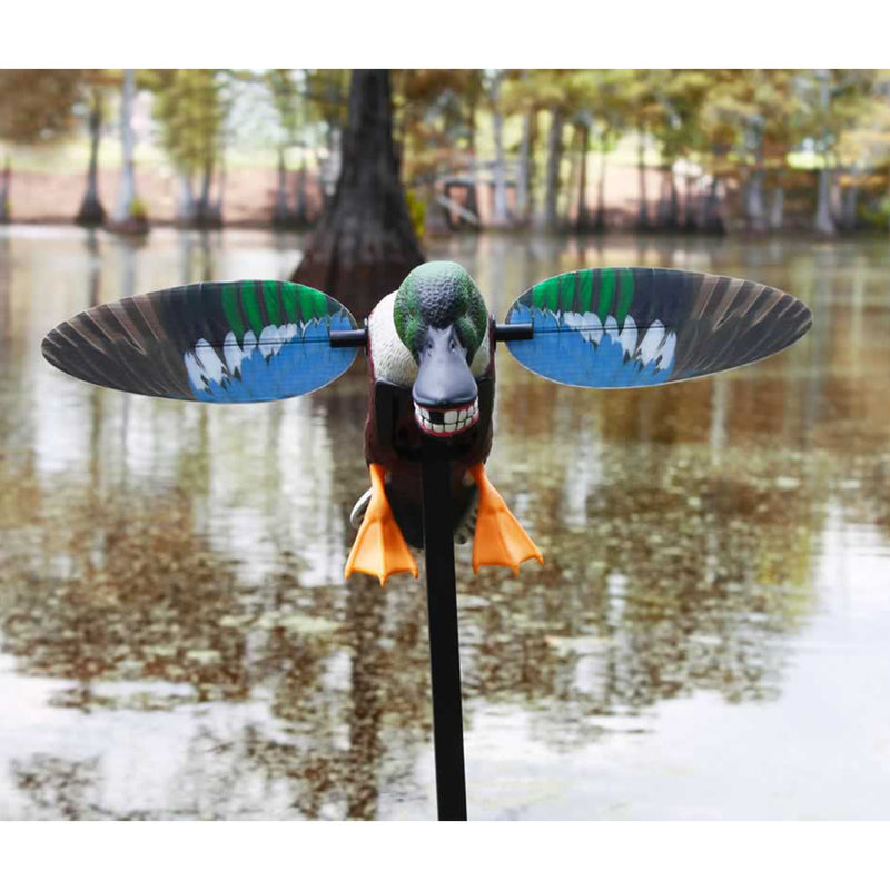 MOJO Outdoors Spoonzilla Shoveler Duck Decoy w/ Spinning Wings and Pole (2 Pack)