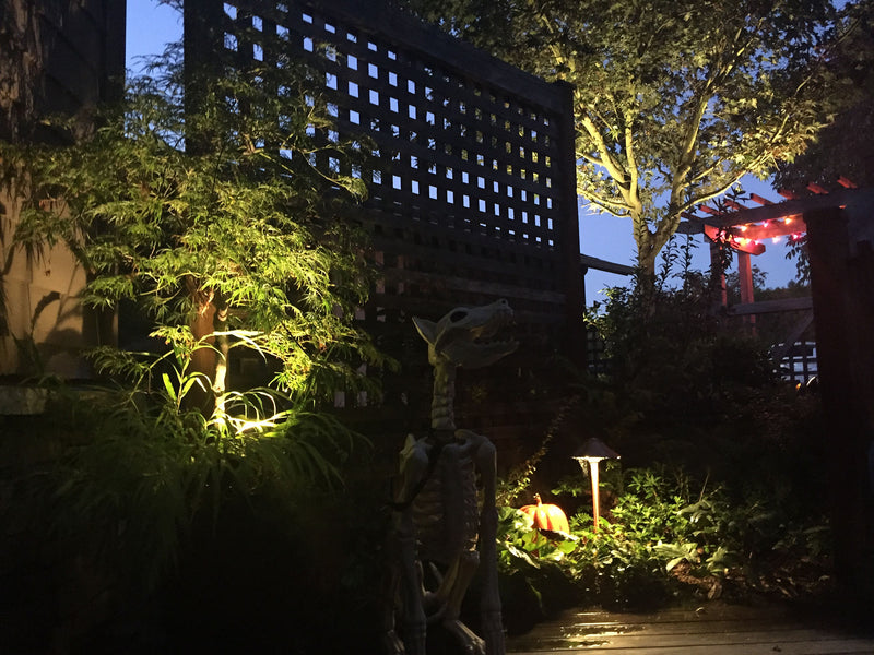LUMiON Conical Stem Antique Brass Outdoor Landscape Garden Path Light LED Lamp