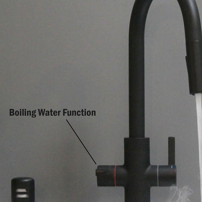 Westbrass HotMaster 4 in 1 Hot Water Dispenser Faucet w/ Instant Hot Tank (Used) - VMInnovations