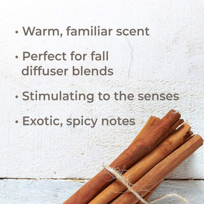 Plant Therapy Diffusible 30mL Essential Oil, 1 Ounce, Cinnamon Bark (2 Pack)