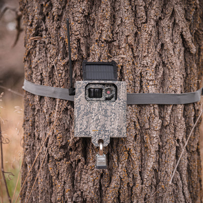 Spypoint Zinc-Coated Steel Camouflage Security Box Protects Hunting Trail Camera