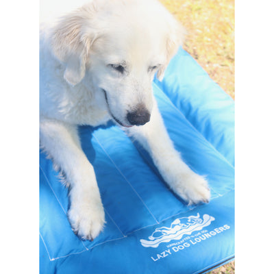 The Better Options Company Lazy Dog Lounger Pool & Lake Raft Float, Small, Blue