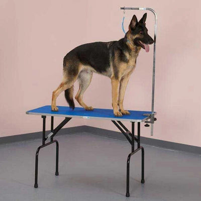 Master Equipment Foldable Pet Grooming Table with Adjustable Leash Arm, Blue