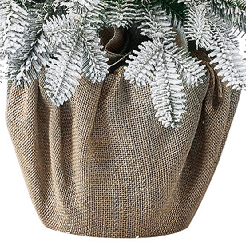 Home Heritage Entry Potted Fir 3&
